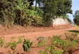 Prime Plots for Sale at Mpigi~Lungala Divine Land Estate - 2
