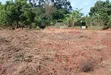 Prime Plots for Sale at Mpigi~Lungala Divine Land Estate - 3