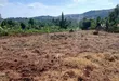 Prime Plots for Sale at Mpigi~Lungala Divine Land Estate - 4