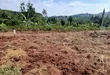Prime Plots for Sale at Mpigi~Lungala Divine Land Estate - 5