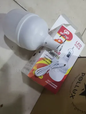 30W LED Bulb
