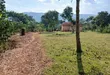 2 Acres Land for Sale in Katende~Kavule Nakabiso, Masaka Road - 3