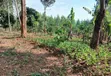 2 Acres Land for Sale in Katende~Kavule Nakabiso, Masaka Road - 5