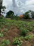 Plot for Sale in Kasangati Kitti - 5