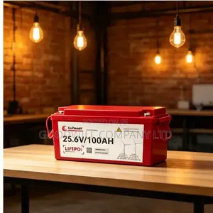 Go Power 100Ah 25.6V LiFePO4 Lithium Battery
