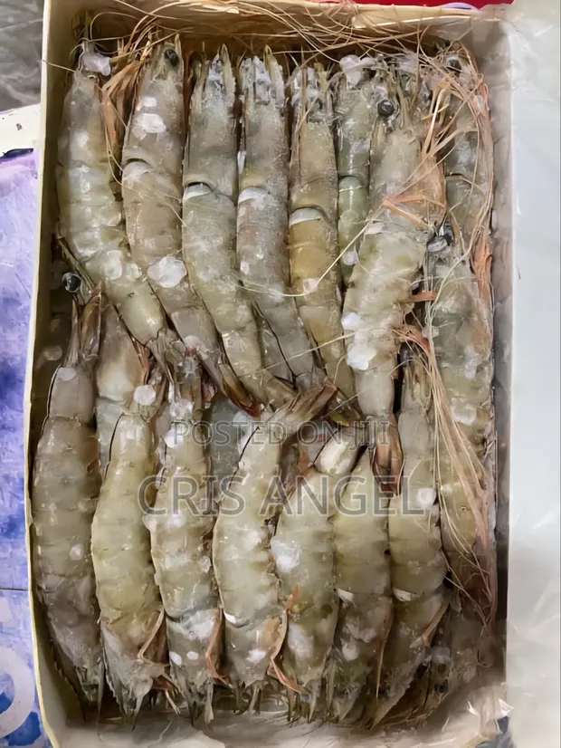 Fresh Prawns - 1kg - 1