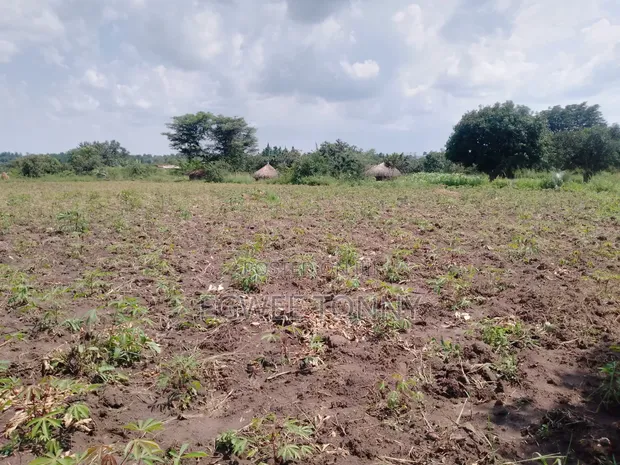 1 Acre Land for Sale Near Lira City - 1