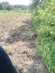 1 Acre Land for Sale Near Lira City - 3