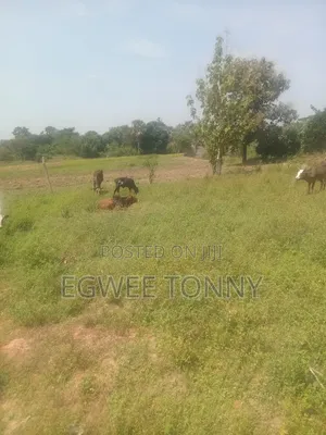 Land for Sale in Lira City - Ireda Agali