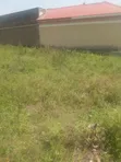 Land for Sale in Lira City - Ireda Agali - 4