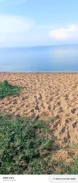 10 Acres Lake View Land for Sale in Mugoye - 1