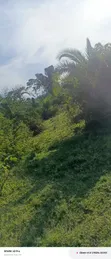 10 Acres Lake View Land for Sale in Mugoye - 2