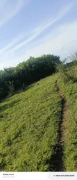 10 Acres Lake View Land for Sale in Mugoye - 3