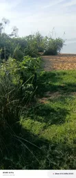 10 Acres Lake View Land for Sale in Mugoye - 4