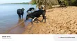 10 Acres Lake View Land for Sale in Mugoye - 5