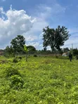 Plots for Sale in Kiwenda-Nazareth - 2