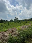 Plots for Sale in Kiwenda-Nazareth - 4