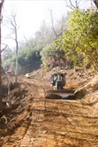 Road Reserve Restoration Services - 3