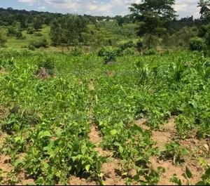Land for Sale in Plots and Installments, Gombe