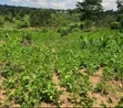 Land for Sale in Plots and Installments, Gombe - 1