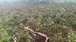 Land for Sale in Kiwenda, Lunga Estate - 1