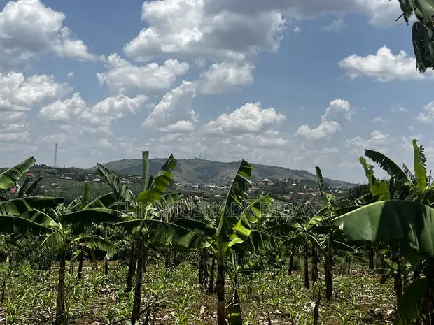 Residential Plots for Sale in Biharwe, Mbarara - 1