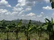 Residential Plots for Sale in Biharwe, Mbarara - 1