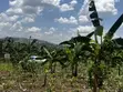 Residential Plots for Sale in Biharwe, Mbarara - 2