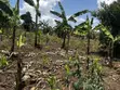 Residential Plots for Sale in Biharwe, Mbarara - 3