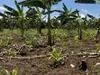 Residential Plots for Sale in Biharwe, Mbarara - 4
