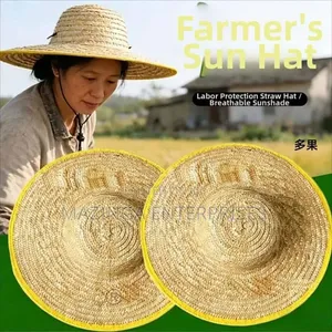 Chinese Wide Woven Straw Farmer's Sun Hat