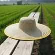 Chinese Wide Woven Straw Farmer's Sun Hat - 3