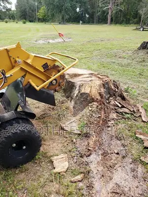 OTHEE TECHNOLOGIES: Tree & Stump Removal Services