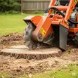 OTHEE TECHNOLOGIES: Tree & Stump Removal Services - 2