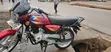 Bajaj CT 125X 2025 Red - 5