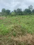 Residential Land for Sale - Mpegwe, Kakiri - 2