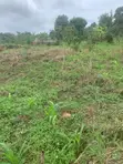 Residential Land for Sale - Mpegwe, Kakiri - 3