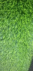Fric Artificial Turf - 1