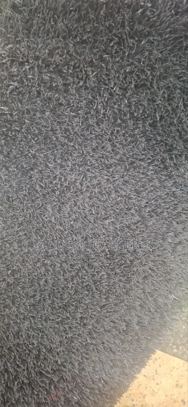 Grashis Artificial Turf - 1