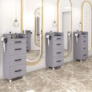 Salon Cabinetry and Shelving Services & Interior Setup