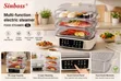 19L Fully Digital Electric Food Steamer - 1