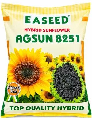 Hybrid Sunflower Seeds (1 Kg)