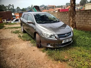 Car Hire and Tours with Driving Lessons