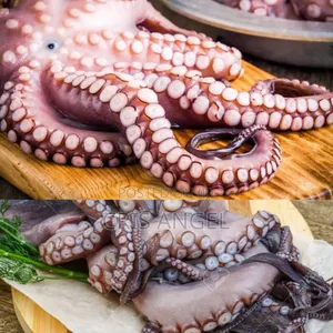 Octopus - 1kg