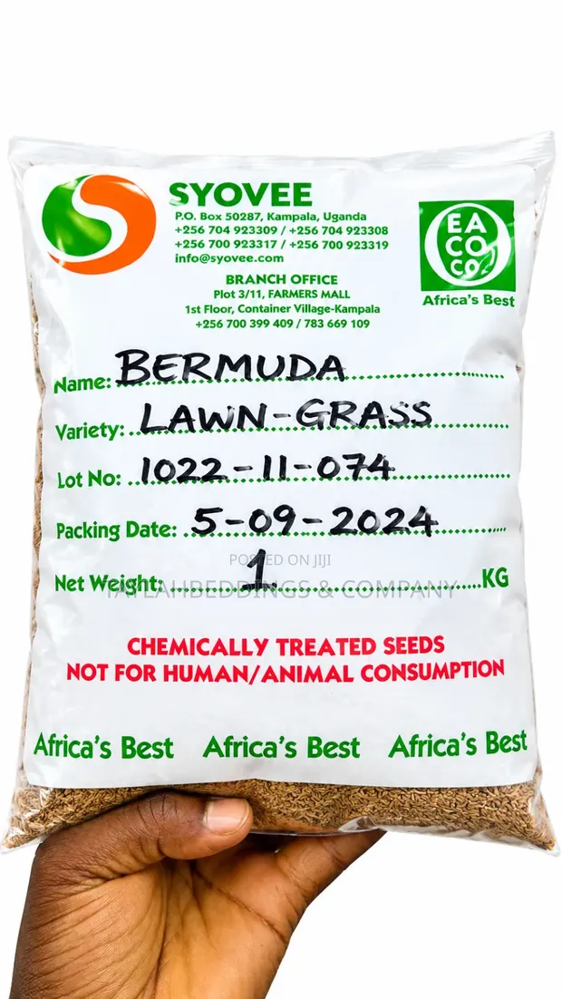 High Quality Bermuda Grass Seeds - 1kg - 1