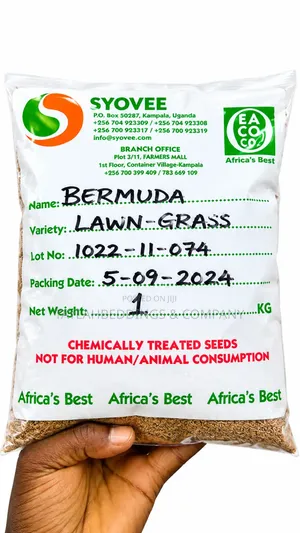 High Quality Bermuda Grass Seeds - 1kg
