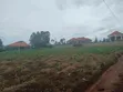 Plot for Sale in Gayaza Dundu - UGX 28M - 2