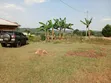Plot for Sale in Gayaza Dundu - UGX 28M - 4