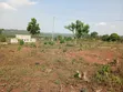 Plot for Sale in Gayaza Dundu - UGX 28M - 5