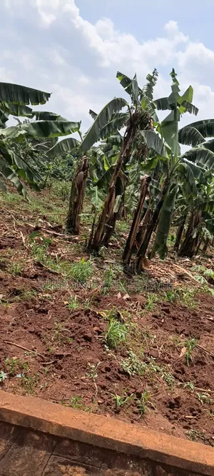 Land for Sale: Mperelwe Namere, 1.15 Acres